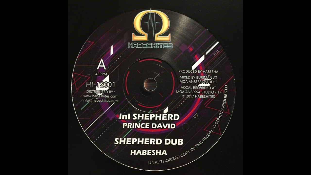 Photo of InI Shepherd – Prince David – Habeshites HI-12001