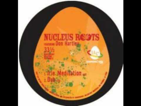 Photo of Nucleus roots – Irie Meditation + dub