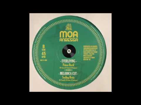 Photo of Prince David – Everliving – B1