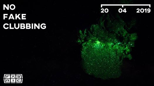 Photo of No Fake Clubbing @Fabric 20-4-2019