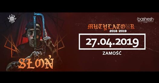 Photo of SŁOŃ w Zamościu – Wrota Kultury