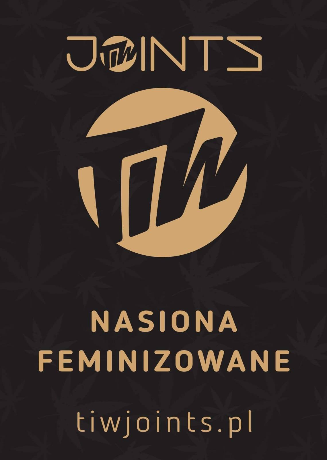 Photo of Na dniu na TiW Joints