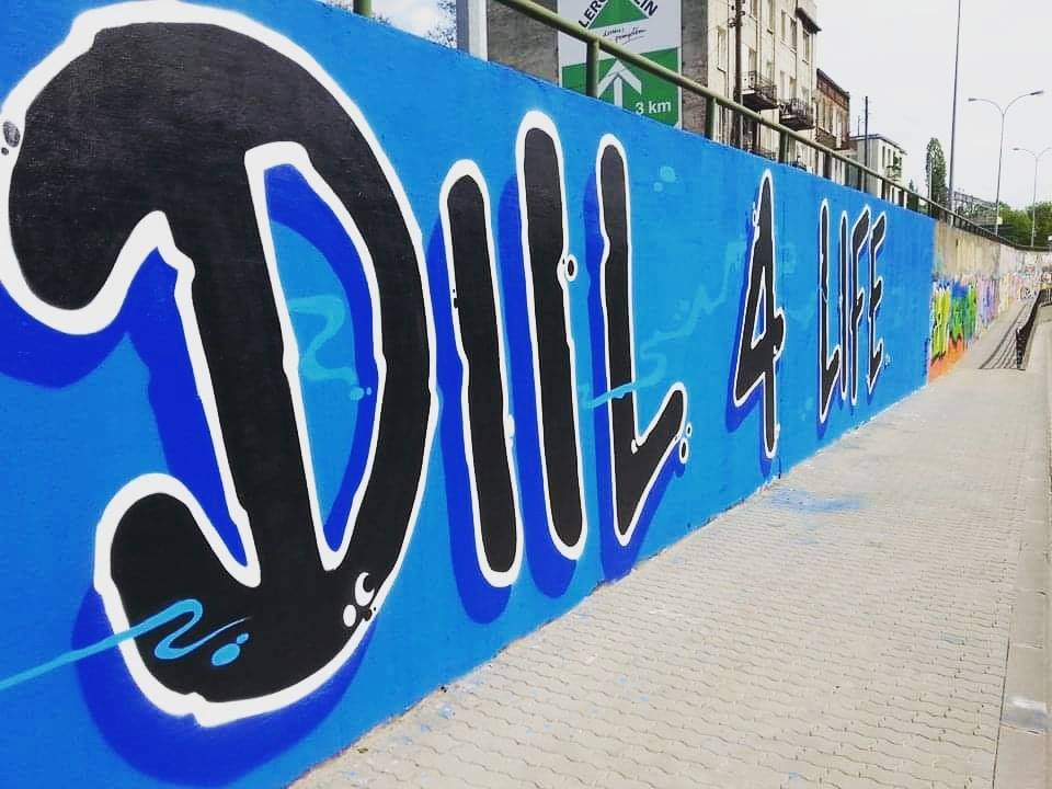 Photo of DIIL 4 LIFE