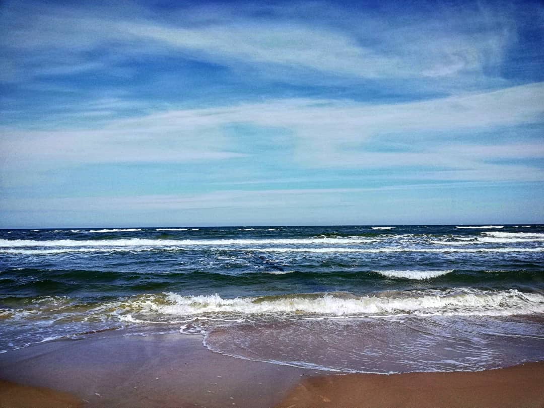 Photo of Latające ryby w Bałtyku? #preordersoon