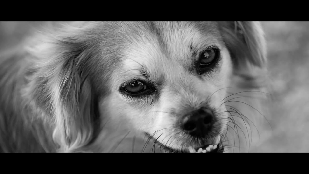 Photo of Kachu – SAINTROPEZ // Prod. V.I.P.N.