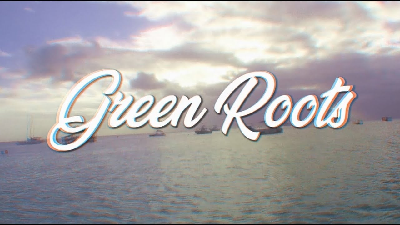 Photo of Green Roots – True Believer