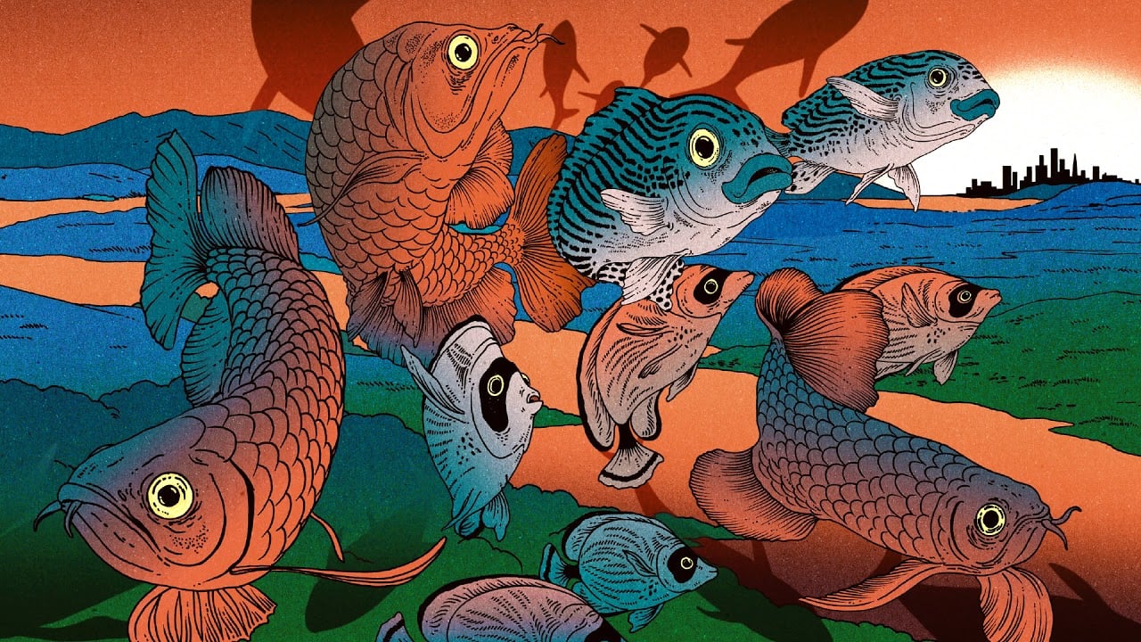 Photo of donGURALesko – LATAJĄCE RYBY [PROMOMIX[