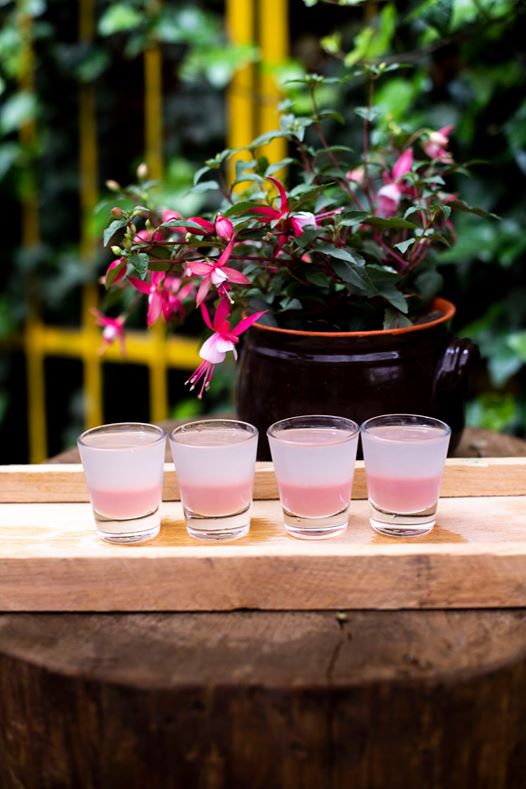 Photo of Pamiętacie, że już dziś Balonowa Impreza…