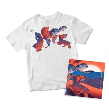 Photo of Dziś jest ostatnia okazja by zamówić pak…