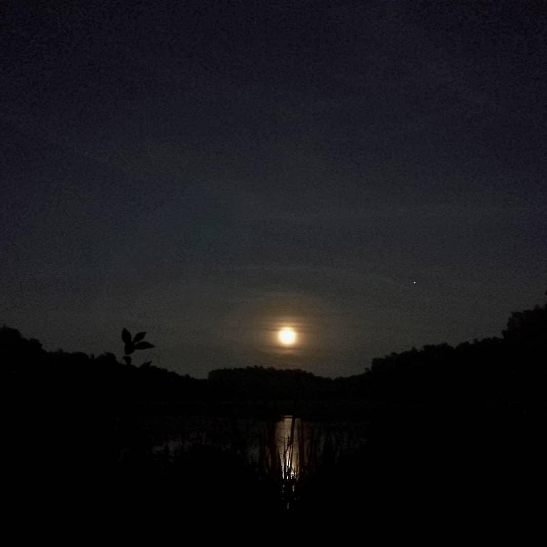 Photo of Żółta pełnia przed przesileniem
#magnumi…