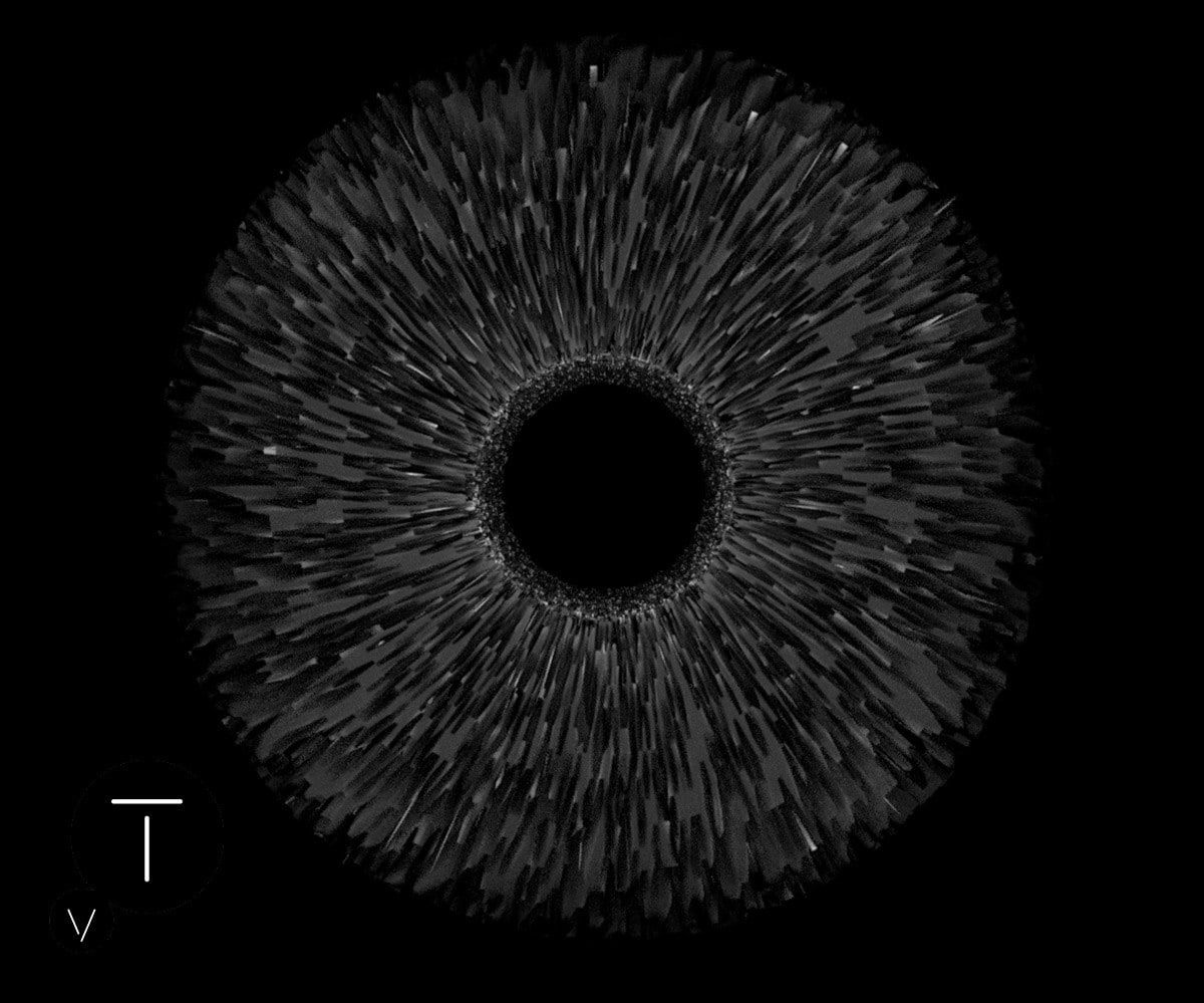 Photo of Informujemy, że za kreację światła  INTR…