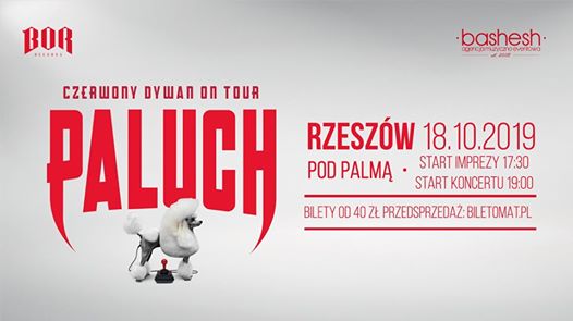 Photo of Paluch • Czerwony Dywan • Rzeszów 18.10.2019