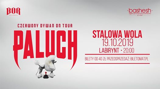 Photo of Paluch • Czerwony Dywan • Stalowa Wola 19.10.2019