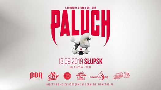 Photo of Paluch w Słupsku | Czerwony Dywan