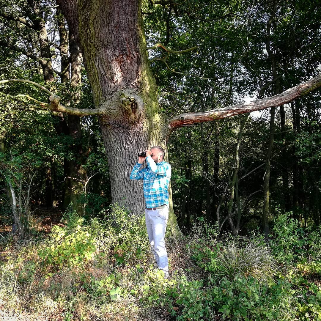 Photo of W lesie meta i lorneta