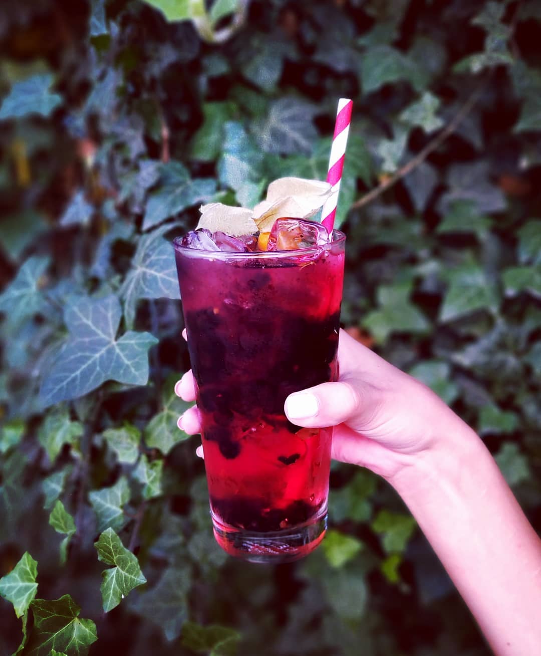 Photo of Uwielbiamy takie połączenia Leśny likier…