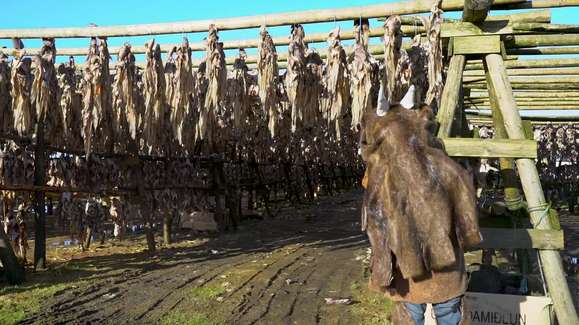 Photo of Obejrzyj film