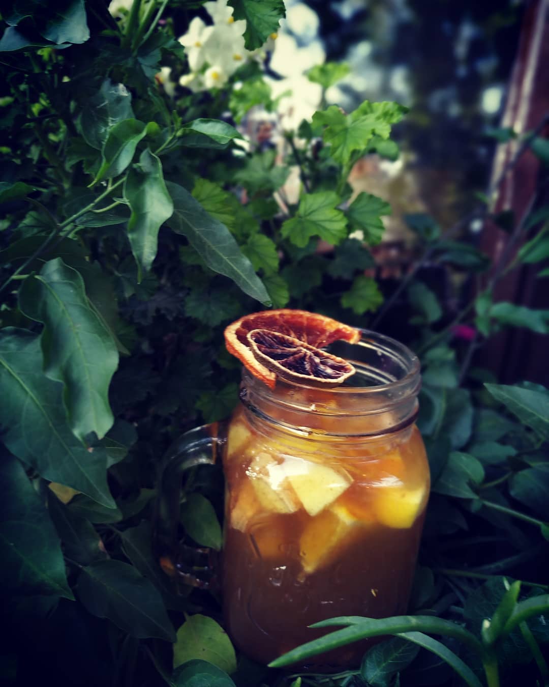 Photo of Wasza ukochana zimowa herbata wróciła na…