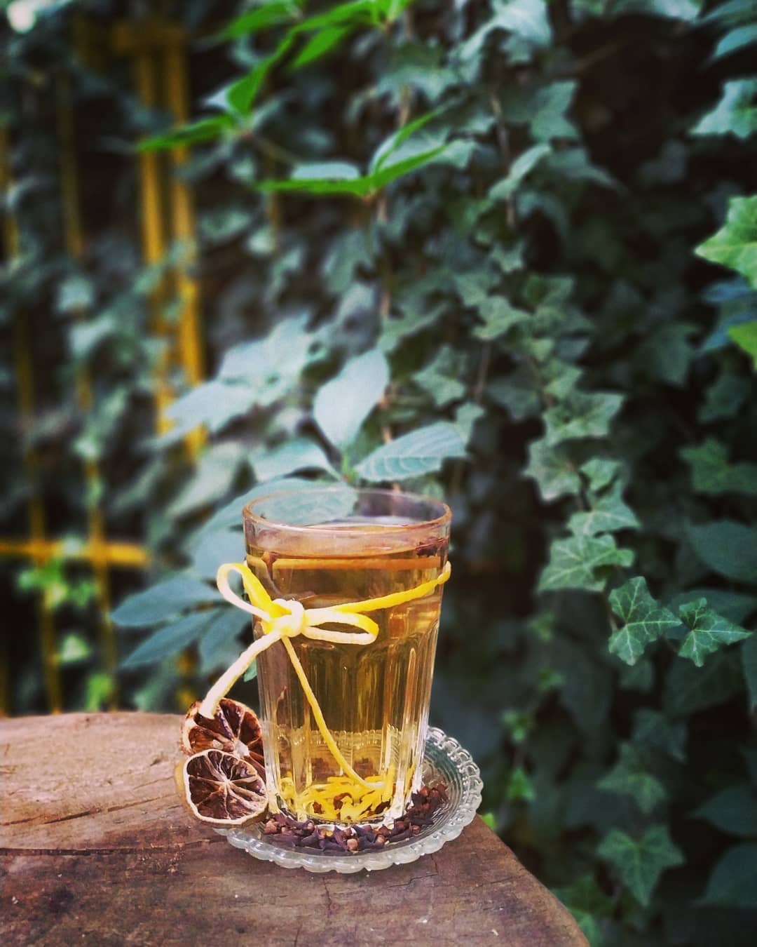 Photo of Pszczółka Czyli ciepłe whisky z miodem, …