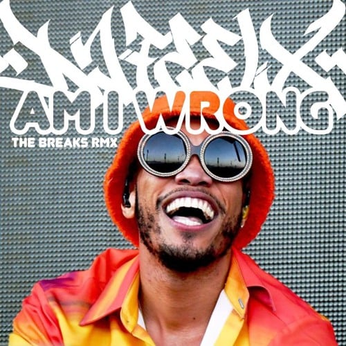 Photo of Am I Wrong (TheBreaksRmx)