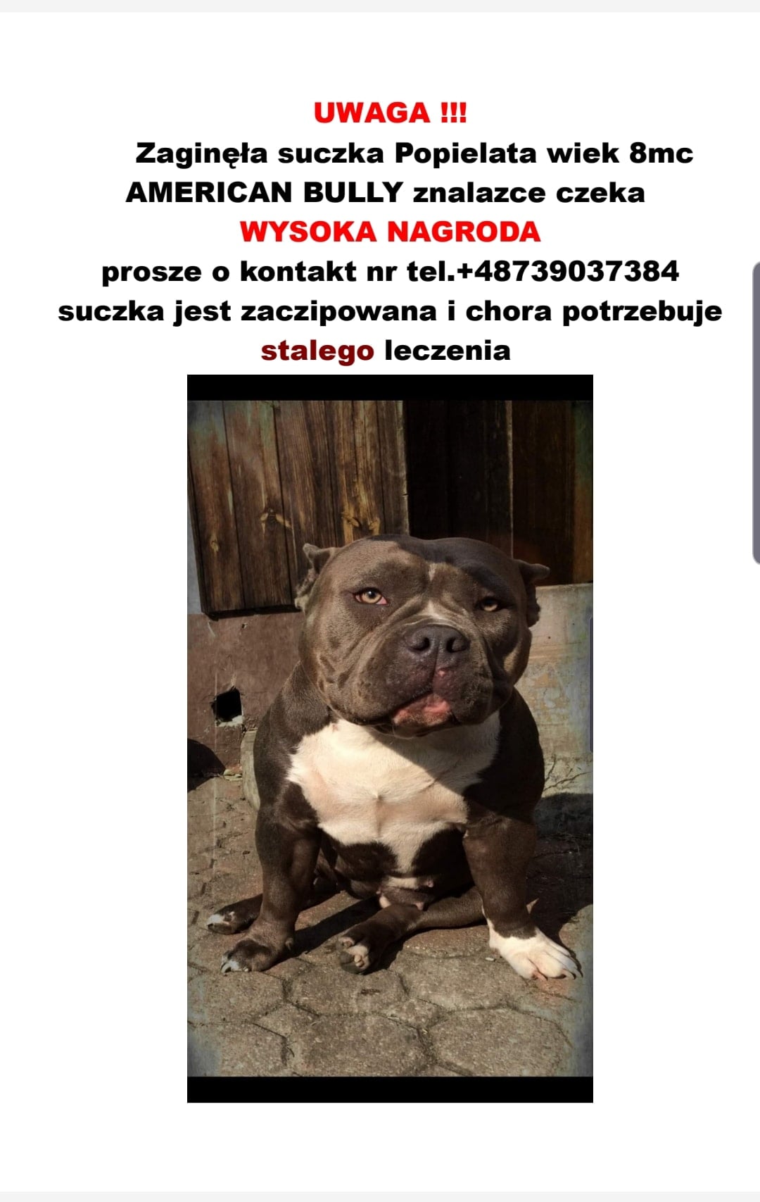 Photo of Zerknijcie proszę. Szukamy Przyjaciółki….