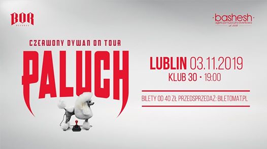 Photo of Paluch • Czerwony Dywan • Lublin 03.11.2019
