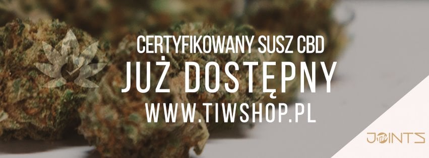Photo of TIW JOINTS CBD juz na www.tiwshop.pl