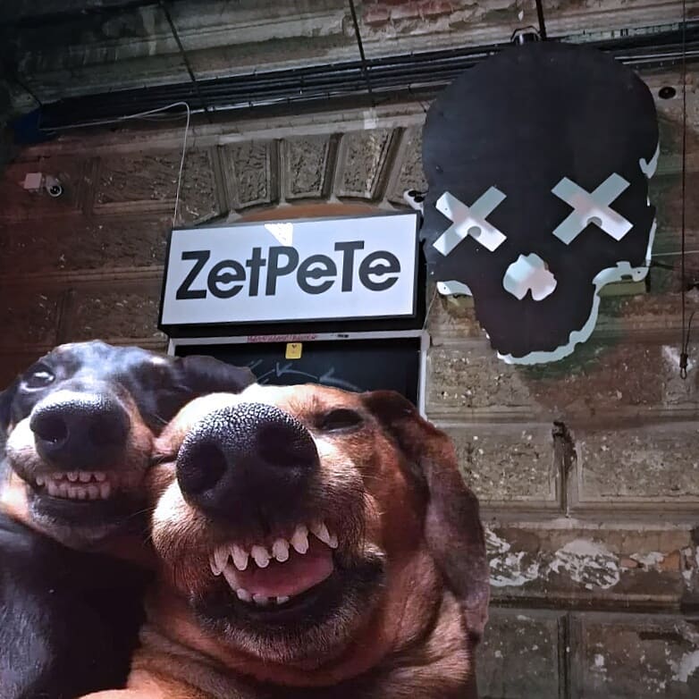 Photo of Gotowi na psiamprezę 
  11.10.2019
  pie…