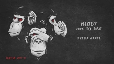 Photo of Młody – Ptasia grypa | LEKCJA WOS-U