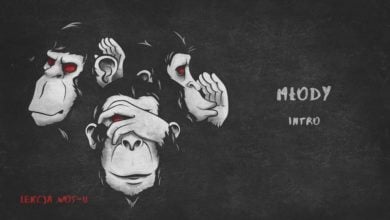 Photo of Młody – Intro | LEKCJA WOS-U