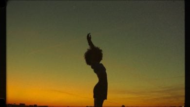 Photo of beluga stone – inevitable return of metaphysics [UKM 073]