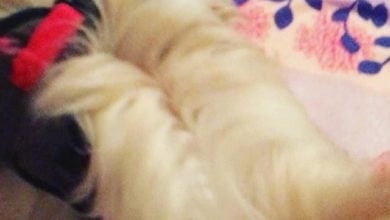 Photo of Obejrzyj film