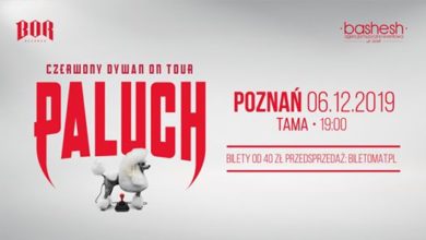 Photo of Paluch • Czerwony Dywan • Poznań 06.12.2019 SOLD OUT