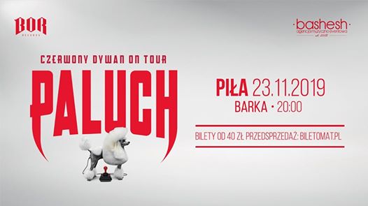 Photo of Paluch • Czerwony Dywan • Piła 23.11.2019