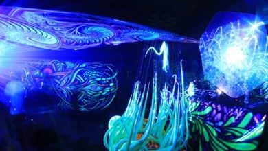 Photo of Hallucinations