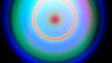 Photo of Obejrzyj film