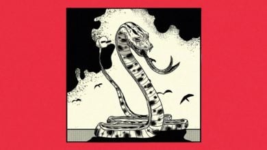 Photo of BonSoul – Gniazdka