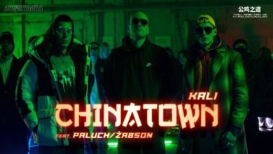 Photo of Kali – CHINATOWN feat Paluch/Żabson