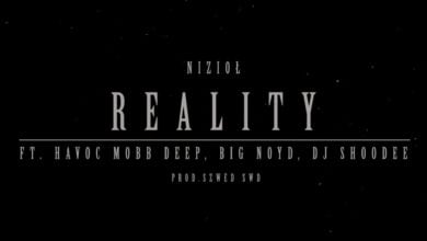 Photo of Nizioł ft.Havoc Mobb Deep,Big Noyd,DJ Shoodee – Reality