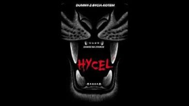 Photo of DUMNY Z BYCIA PSEM?! (DISS) – hycel – DAWID NA STARCIE – DUMNY Z BYCIA KOTEM