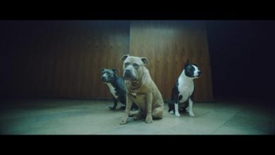 Photo of Obejrzyj film