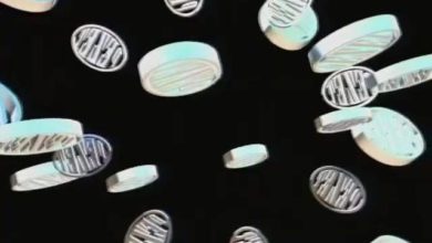 Photo of Obejrzyj film