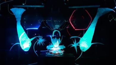 Photo of Hallucinations