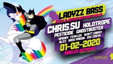 Photo of Ladyzz Bass vol.11 // b-day party with Chris.SU