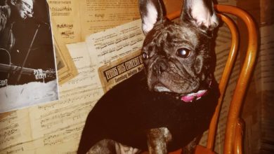 Photo of Cześć poniedziałek
 Wpadnijcie się ogrza…