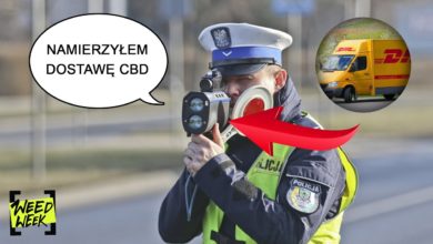 Photo of „Policja zabrała mi LEGALNY susz za 150tys zł” | Właściciel STREET AUTONOMY – wywiad | WeedWeek 52
