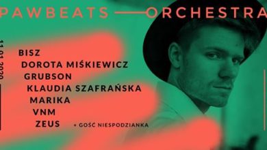 Photo of Pawbeats Orchestra | Gdańsk