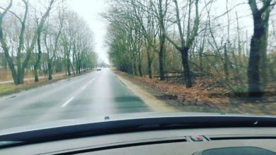 Photo of Obejrzyj film