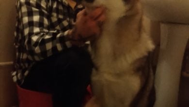 Photo of Wszystkim życzymy szczęśliwego Nowego Ro…