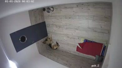 Photo of Siemano!
Waldemar Leszczyński, osoba o n…